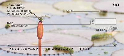 Perching Dragonfly