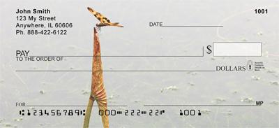 Perching Dragonfly