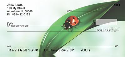 Cute As a Bug