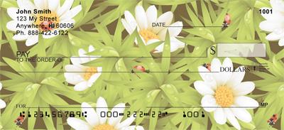 Crazy About Ladybugs