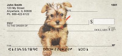 Yorkie Pups