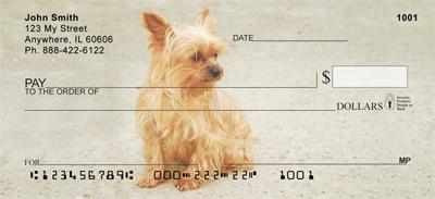 Yorkie Pups