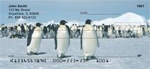 Emperor Penguins