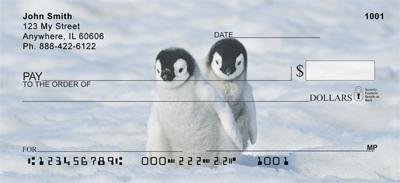 Cute Penguin Chicks