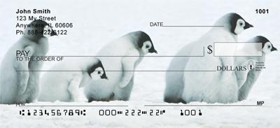 Cute Penguin Chicks