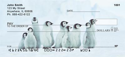 Cute Penguin Chicks