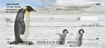 Penguin Families