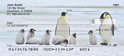 Penguin Families
