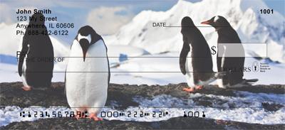 Penguin Pals