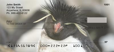 Rockhopper Penguins