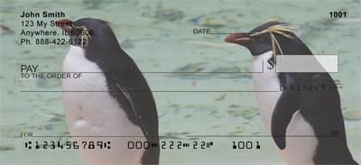 Rockhopper Penguins