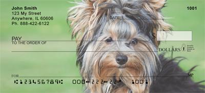 Yorkies Are Fun