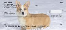 Corgis in the Snow