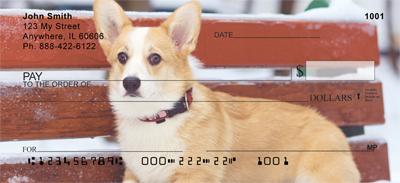 Corgis in the Snow