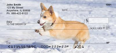 Corgis in the Snow