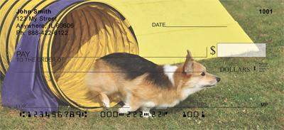 Playful Corgis