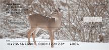 Whitetail Deer