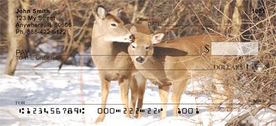 Whitetail Deer