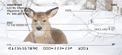 Whitetail Deer