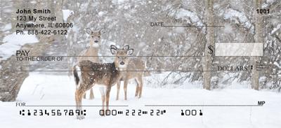 Whitetail Deer
