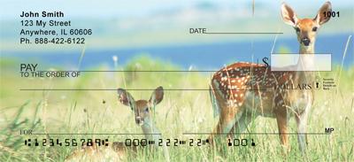 Whitetail Fawn