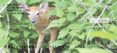 Whitetail Fawn