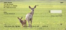 Does and Fawns