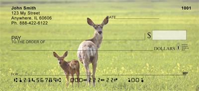 Does and Fawns