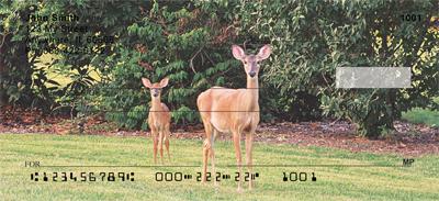 Does and Fawns