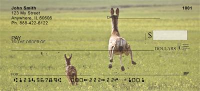 Does and Fawns