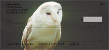Barn Owls