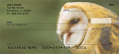 Barn Owls