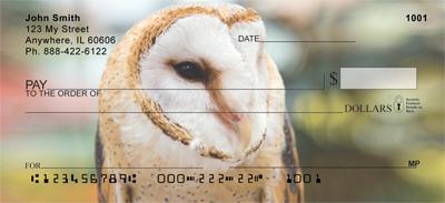 Barn Owls