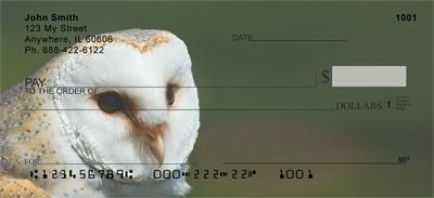Barn Owls