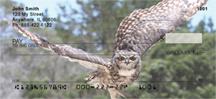 Horned Owls