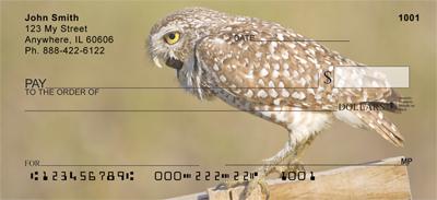 Burrowing Owls
