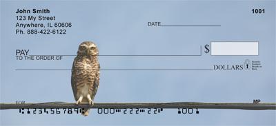 Burrowing Owls
