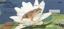 Frog On Lily