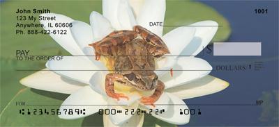 Frog On Lily