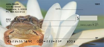 Frog On Lily