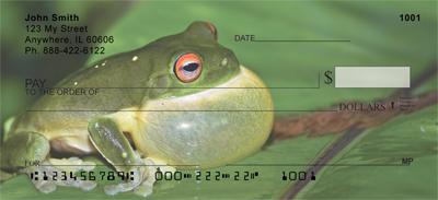 Puffed Up Frogs