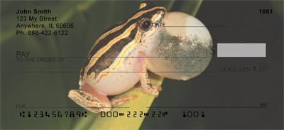 Puffed Up Frogs
