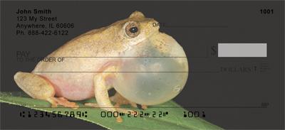 Puffed Up Frogs