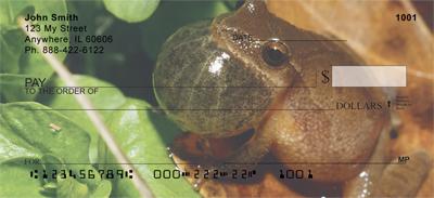 Puffed Up Frogs