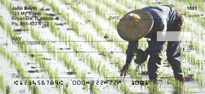 Rice Farming