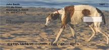 Greyhounds On The Beach