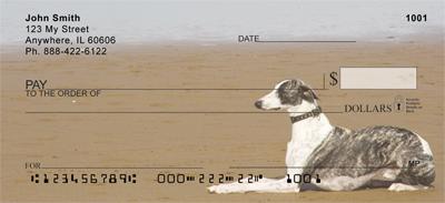 Greyhounds On The Beach
