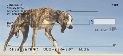 Greyhounds On The Beach