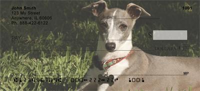 Greyhound Puppies