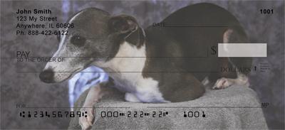 Greyhound Puppies
